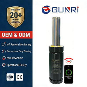 Resorte de Gas Nitrógeno Tipo Espiral GSV/<span class=keywords><strong>K</strong></span>/X/U170-<span class=keywords><strong>9600</strong></span>, Resistente al Desgaste Automotriz, Resorte de Gas para Troqueles de Estampado de Compresión y Tensión - Product Image 4