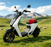 Moped électrique à double frein à disque, 48V/60V, longue autonomie, avec siège confortable pour une utilisation quotidienne