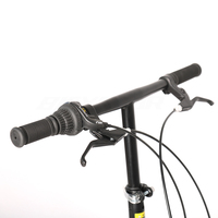 L'usine en gros vélo pliant 16 en fibre de carbone vélo pliant dahon vélo pliant