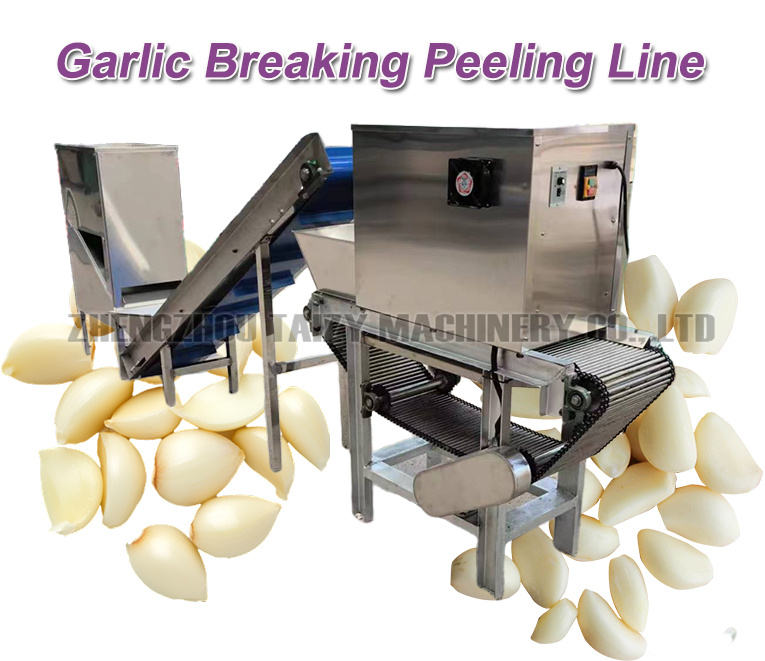Peeled Garlic Production Line Buld Separating Garlic Clove Splitter ...