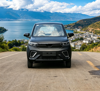 Venta Directa de Fábrica, Auto Eléctrico de Nueva Energía, Mini SUV de 4 Asientos con Certificación EEC, COC y CE, Vehículo Eléctrico de Cuatro Ruedas
