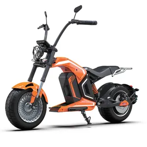 スタイリッシュな電動バイク2000w3000weecEバイクダブルシート12インチホイール取り外し可能なリチウム電池電動バイク