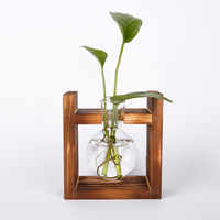 Vase à fleurs en bois ampoules hydroponiques, ornement de maison, articles meubles, station de circulation, terrarium, mignon, plusieurs tailles, offre spéciale