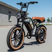 Bicicleta Eléctrica de Montaña Nueva a Bajo Precio, Suspensión, 250W 500W, Neumáticos Anchos, Elektro Fahrrad, Bicicleta Eléctrica para Adultos