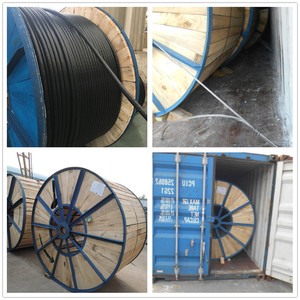 Cable de Alimentación de Bajo Voltaje con Aislamiento de PVC y Conductor de Aluminio EA2XY EAY2Y EAYY EY2Y <span class=keywords><strong>EYY</strong></span> para Uso Subterráneo, ISO9001 CE - Product Image 6