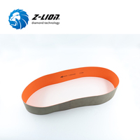 Bandes abrasives en verre diamanté Z Lion 1180*80mm pour machine Lisec