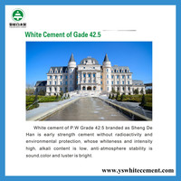 Ciment Portland blanc en vrac à vendre Ciment Portland de haute qualité 50kg Ciment Portland pas cher en gros