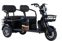 Nouveau modèle 48 V500 W20AH Tricycle électrique de loisirs biplace pour trajets domicile-travail