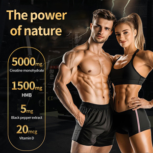 Tiras Orales de Creatina Monohidrato OEM en Stock, Mezcla Micronizada de HMB, Energía Diaria, Soporte Muscular para Nutrición Deportiva - Product Image 2