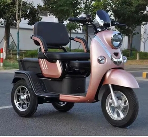 Pendolarismo urbano triciclo elettrico per adulti 48V/60V <span class=keywords><strong>bici</strong></span> elettrica <span class=keywords><strong>a</strong></span> <span class=keywords><strong>tre</strong></span> <span class=keywords><strong>ruote</strong></span> con batteria intelligente digitale integrata - Product Image 5