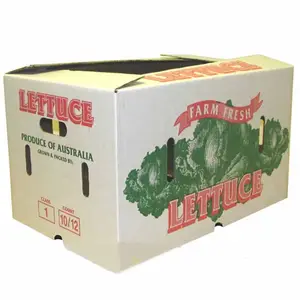 Caja de cartón ecológica a prueba de agua, caja de cartón para vegetales y productos de lechuga
