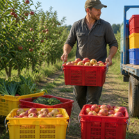 Caisse de cueillette ventilée emboîtable INORDER pour la récolte des pommes et des agrumes des vergers, avec poignée métallique, sac de transport pour fruits, vente en gros pour fermes