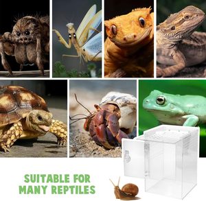 Custom Designed Rectangular Acrylic Reptile Enclosures Available Various Sizes for Reptiles <b>Small</b> Pets. - Product Image 6