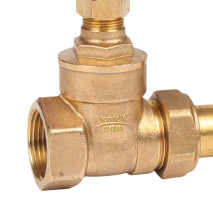 Guangdong Magnesium Special Brass Gate Valve Double <b>Thread</b> Telescopic For Tap Water Pipeline High Pressure Single Gate - Product Image 2