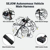Arnés de Cableado Principal para Vehículo Autónomo SEJOW, Personalizado OEM, Integración de ECU Multibranco, IP67