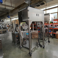 Machine d'emballage de sachets de thé pyramidaux entièrement automatique de haute qualité, sachets triangulaires en nylon pouvant être remplis d'azote pour conserver la fraîcheur