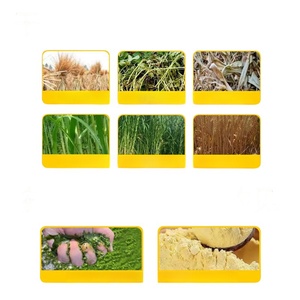 Máquina de Molienda Húmeda y Seca para Alimento de Aves de Corral, Pollos, Patos, Cerdos, Ganado, Ovejas y Peces para Avicultura - Product Image 6