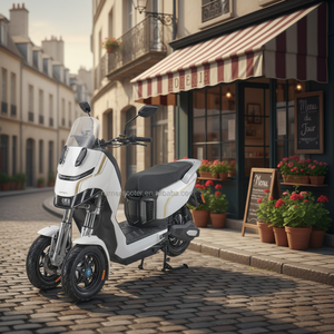 <span class=keywords><strong>Moto</strong></span> électrique à trois roues Dofern S1 EEC 2000w pour adulte, <span class=keywords><strong>moto</strong></span> électrique inclinable à <span class=keywords><strong>louer</strong></span> - Product Image 3