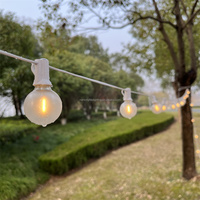 Guirnalda de Luces LED G40 E12 Esmeriladas para Jardín, Impermeables IP44, de Plástico para Exteriores, con Cable Blanco y Negro
