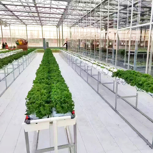 Large Hydroponic System Vertical Hydroponic Tower 72 Plant Sites Recirculating Drip Irrigation Save Space Hydroponic System Hydr - Product Image 2