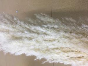 Erba di pampa di Champagne artificiale di vendita calda della decorazione del fiore secco con il vaso - Product Image 4