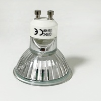 Ampoule d'éclairage interne pour four à sole résistant aux hautes températures, lampe de remplacement personnalisable pour four à sole de boulangerie commerciale