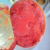 Pâte de tomate de couleur rouge naturelle, à Double concentration, ml, pour la sauce à pizza, similaire à du stock frais