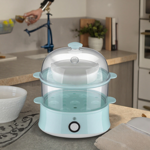 Cuiseur et cuiseur vapeur automatique rapide en acier inoxydable, petit appareil de cuisine pour la cuisson à la vapeur des œufs, usage domestique, modèle B - Product Image 1