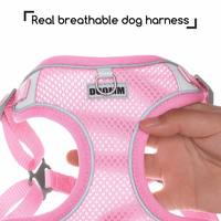 Arnés Reflectante Personalizado al por Mayor para Perros con Logotipo, Conjunto de Correa de Malla Transpirable, Doble Seguridad, Ajustable, Antitirones, para Paseos al Aire Libre