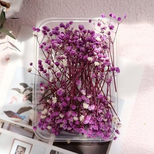 Boîte cadeau de carte de vœux avec fleurs de gypsophile éternelles, boîte d'emballage, fleurs décoratives, fleurs séchées, matériel de bricolage pour gypsophile - Product Image 4