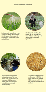 MKP <span class=keywords><strong>20</strong></span> Kg Fertilizzante Idrosolubile per Agricoltura, Alberi da Frutto, Fiori e Foglie, Fosfato Monopotassico MKP 99% - Product Image 4