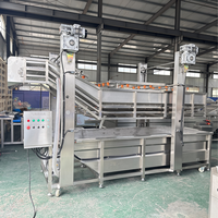 Industriële wasmachines voor gember, fruit en groenten