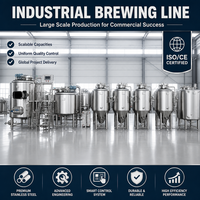 Système de brasserie nano en acier inoxydable Tonsen 200L, mini brasserie 2HL, équipement de brassage à domicile pour pub et restaurant