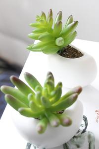V153 Commercio All'ingrosso Mini Artifiaicl Succulente Piante Faxu di Vetro In Vaso <span class=keywords><strong>Pianta</strong></span> Verde Per Desktop di Decorazione Della Casa Decor - Product Image 2