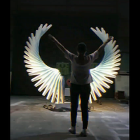 Senzhao menerima disesuaikan IP65 tahan air Modern Angel Wings LED Motif cahaya