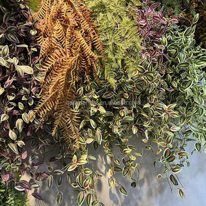 B-486 Feuilles de soie de haute qualité, plantes à feuilles persistantes, décoration esthétique de la pièce, feuilles de vigne, plantes artificielles, fausse plante grimpante - Product Image 3