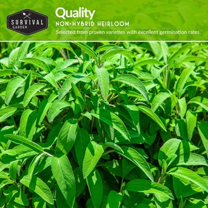 Kit de cultivo de hierbas y flores orgánicas <span class=keywords><strong>resistentes</strong></span>, tolerante a la sequía <span class=keywords><strong>para</strong></span> jardín, uso doméstico al aire libre <span class=keywords><strong>para</strong></span> plantar en invierno - Product Image 5