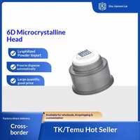 Stylo Derma Portable Personnalisé avec Logo d'Usine, Flacon Vide pour Sérum de Soin, Microneedles en Silicone Non Invasives, Derma Stamp