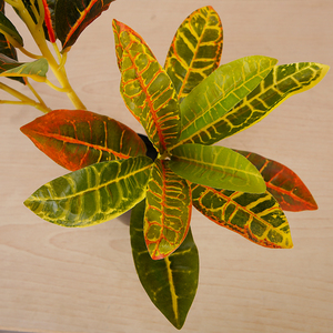 55 CENTIMETRI Piccolo Piante Artificiali Falsi Piante in Vaso di fiori di Colore Caldo Albero Per La Decorazione Domestica - Product Image 4