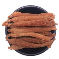 Poudre d'extrait de ginseng rouge en vrac, poudre de racine de ginseng traitée à la vapeur, aliment santé, emballée sous vide en fût pour complément alimentaire brut