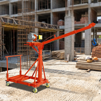 Mini grue extérieure portable 220V 450kg avec treuil électrique, rotation à 360 degrés pour la construction