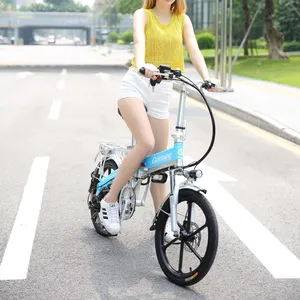 Vélo électrique pliable Ebike vélo électrique moteur 300w batterie au lithium vélo de ville électrique