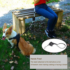 Einziehbare Hundeleine für kleine Hunde Katzen bis zu 30 kg mit 140 cm Anti-Zug-Starkes Nylonband Hände-freie tragbare Laufleine - Product Image 2