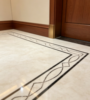 Ascenseur de passagers Fareo moderne en acier inoxydable sans engrenages à traction AC - Durable, installation et fonctionnement faciles, plancher en PVC, utilisation en appartement