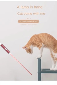 ของเล่นแมวเลเซอร์แสงเลเซอร์แบบอินเตอร์แอคทีฟขนาดเล็กปรับรูปแบบได้อุปกรณ์ชี้เลเซอร์แบบชาร์จไฟ USB สำหรับแมว - Product Image 5