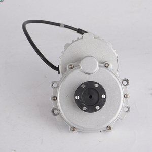 Adult <b>Electric</b> Rickshaw Conversion <b>Kits</b> with 250W Brushless DC Motor Waterproof Spare Parts <b>Electric</b> Bicycle - Product Image 4