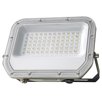 Projecteur LED étanche AC 100-265V 3300lm-22000lm 30W 50W 100W 150W 200W, éclairage extérieur IP66