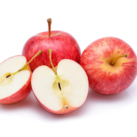 Vente en gros à bas prix de la nouvelle saison des pommes Red Delicious Pommes fraîches chinoises de Fuji Apple Gardens pour l'exportation