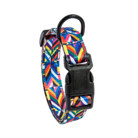 Collier pour chien PUPE, moderne, élégant, luxueux, doux, durable, grand modèle, imprimé, à libération rapide, en nylon résistant, imperméable, personnalisé