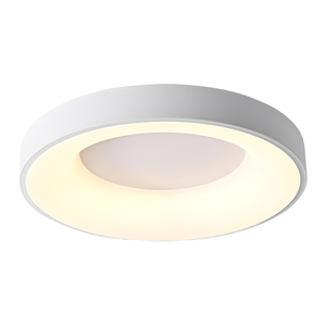 Plafonnier LED en fer moderne et minimaliste 24W, lampe intérieure en acrylique, pour couloir, salon, chambre à coucher, balcon, allée, alimentation CA - Product Image 3